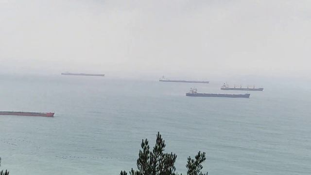 сухогруз Рио цель поездки смотреть онлайн