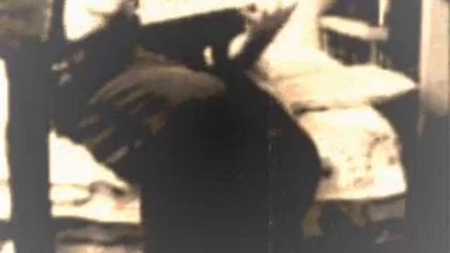 Etno смотреть онлайн