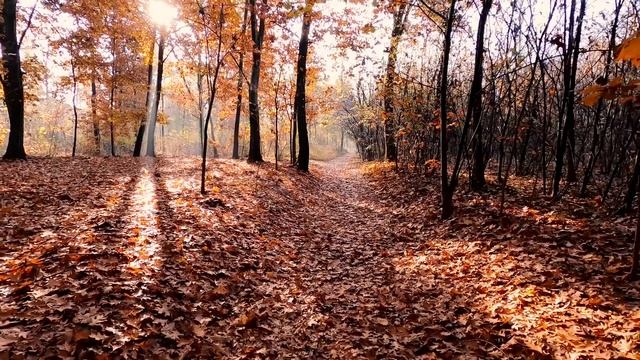 Relax Music Song of the Autumn (Happy Version) - Расслабляющая музыка Песня осени (Веселая версия) смотреть онлайн