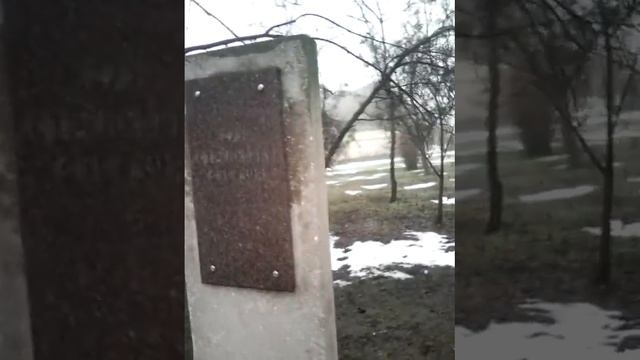 К. Днепровская олея славы смотреть онлайн