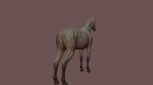 Blender Horse model
