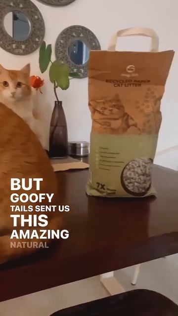 #catlitter  Goofy Tails Eco Friendly Cat Litter