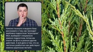 Николаев 8 марта 2025 года (новости)