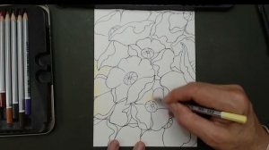 Урок-подарок "Маки"