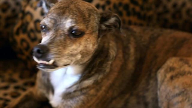 Erica & Maríanela for Fashion Blog Wednesday, смотреть онлайн