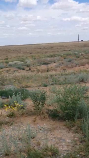 в степи Калмыкии смотреть онлайн