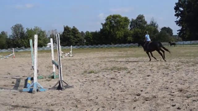 Церемония. смотреть онлайн