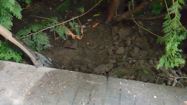 Как да разберем дали имаме магия в къщи.Разваляне на магия.Имам ли магия.Как да разберете за магия. смотреть онлайн