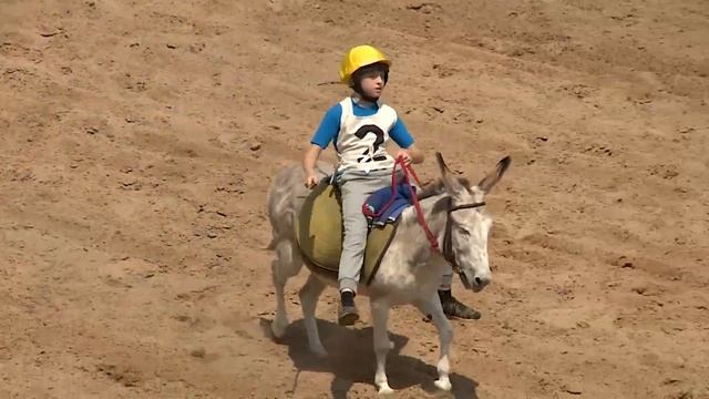 28 07 2019 poni смотреть онлайн