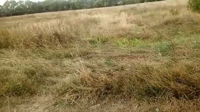 Короткие разговорные видеоклипы.Про порядок моих видео и многие другие темы.Часть-2.Продолжение смотреть онлайн