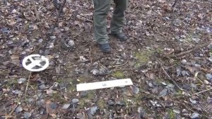 ТЕСТ НА СКОРОСТЬ: Nokta Makro Simplex, XP ORX, Minelab Equinox, Quest X10