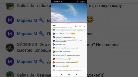 НОВАЯ ЖИЗНЬ В ГОСТЯХ У МИХЕЯ