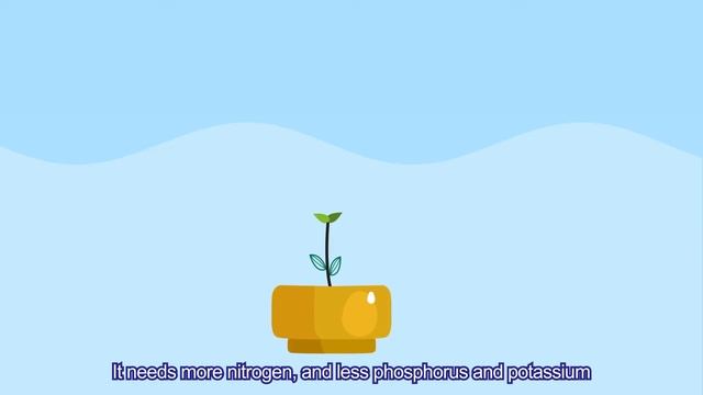 【Horticulture 101】Horticulture Classroom#6：Why doesn’t my plant flower? смотреть онлайн