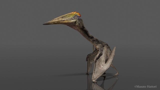 タナトスドラコン・アマル　Thanatosdrakon amaru смотреть онлайн