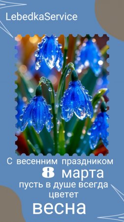 LebedkaService поздравляет прекрасных девушек с международным женским днём - 8 марта