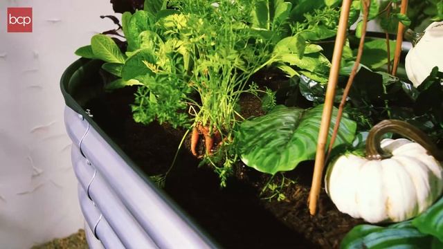 Best Choice Products 63in Raised Oval Planter смотреть онлайн