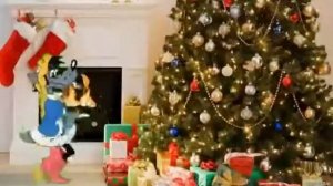 Ну заяц погоди  !