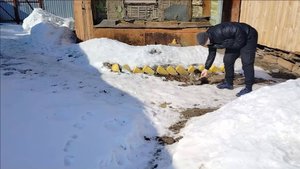 ПРОСТАЯ ЖИЗНЬ 45// С 8 МАРТА// ПРОГУЛЯЛИСЬ С АНДРЕЕМ// СЪЕЗДИЛИ В МАГАЗИН//ЖИЗНЬ ПРОСТЫХ ЛЮДЕЙ