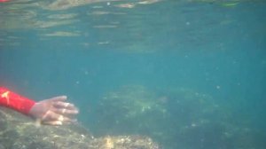 Latex catsuit underwater