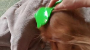 За пол часа до весны