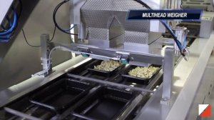 KOROLEVA technologies АВТОМАТИЧЕСКИЙ ТРЕЙСИЛЕР С МУЛЬТИГОЛОВОЧНЫМ ВЕСОВЫМ ДОЗАТОРОМ  Speedy Ilpra