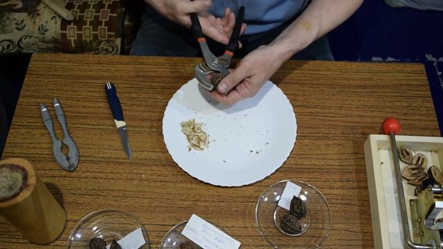 Как расколоть маньчжурский орех смотреть онлайн