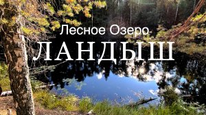 Самое таинственное озеро Марий-Эл, которое находится в дремучем лесу