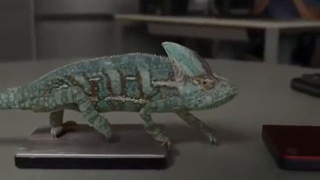 Хамелеон смотреть онлайн