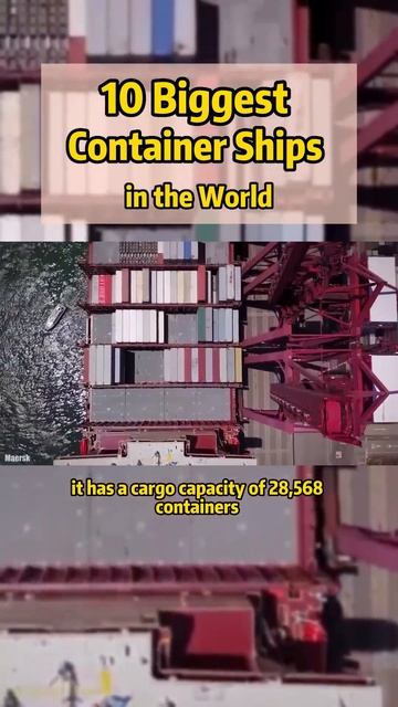TOP 10 Biggest Container shipping company. #freight  #cargo  #fba  #amazon  #shipping  #logistics