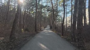 2025-03-07 Геленджик, Тропа здоровья. Мкр. Парус