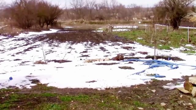 06_03_2025_ВЕСНА ВРЫВАЕТСЯ НА СТАВРОПОЛЬЕ_ смотреть онлайн