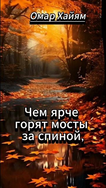 #shorts  Омар Хайям Не бойтесь потерять тех