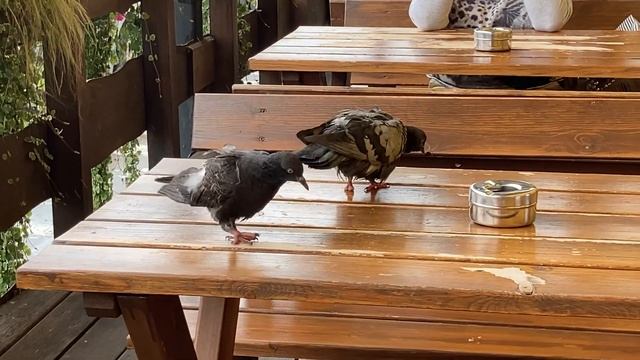 16 июля 2022 г. смотреть онлайн