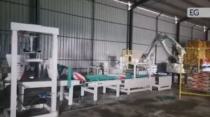 Автоматическая линия для фасовки и упаковки сыпучих продуктов ZX-CR120