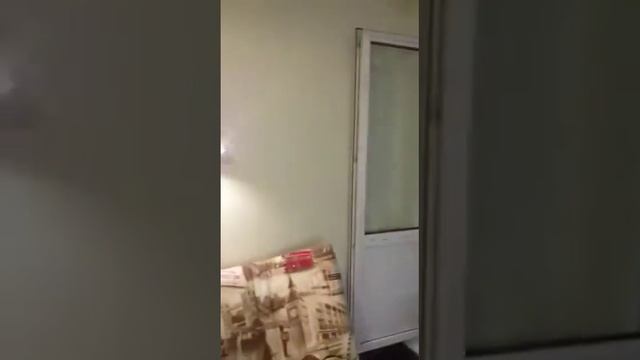 Квартира в Шушарах