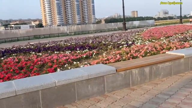 МОЙ ГОРНЫЙ ОРЁЛ И ПОЧЕМУ МЫ НЕ ПЕРЕПЛЫВАЕМ ГРАНИЦУ С КИТАЕМ!