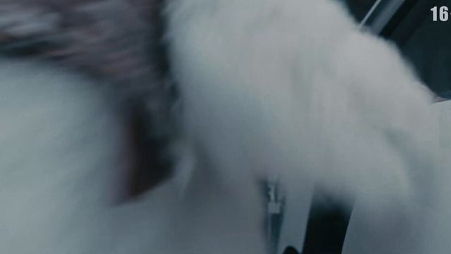 Antibuks (Color-x) 30 сек. смотреть онлайн