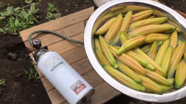 おいしい野草　ヤブカンゾウのつぼみ。 смотреть онлайн