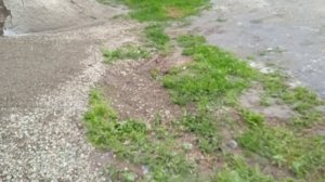 въезд_отсыпка щебнем