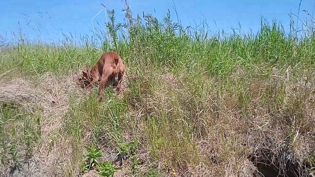 30 июня 2023 г. смотреть онлайн