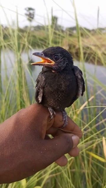 June 4, 2022 смотреть онлайн