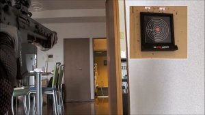 Aimpoint Micro T-2 Replica Zero in