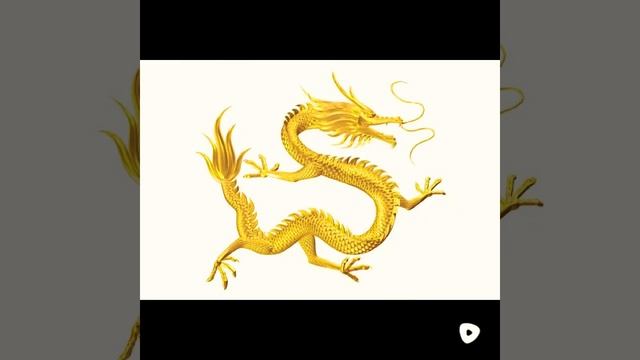 Топ 9 самых магических животных смотреть онлайн