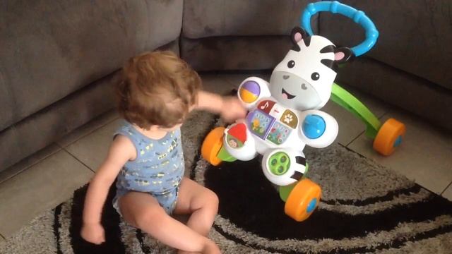 Benjamin and his zebra смотреть онлайн