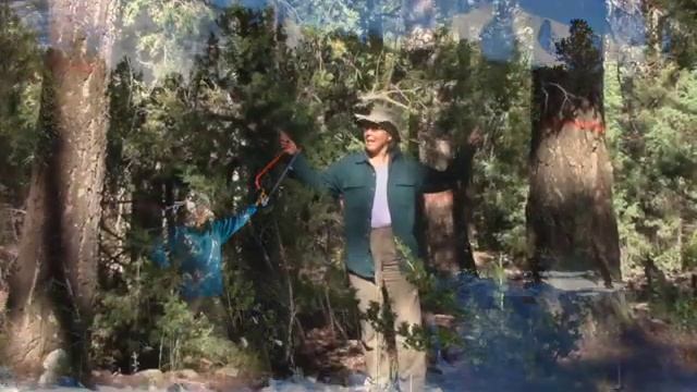 Climate, Trees, and Legacy: 05 - Rocky Mtn Trees in Climate Peril смотреть онлайн