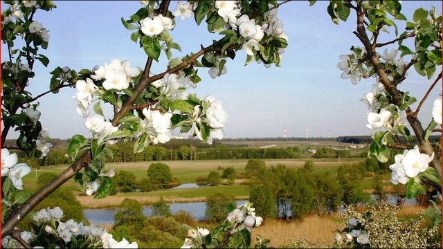 М  Исаковский  Катюша  Стихи #стихиолюбви #песнивоенныхлет #поэты20века