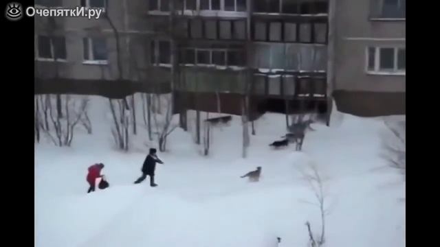 Забавные бывают случаи)) хорошее настроение) смотреть онлайн