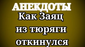 Анекдоты. Как Заяц из тюряги откинулся