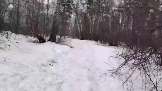 Похождения по Томскому лесу ОПАСНЫЕ ПРИКЛЮЧЕНИЯ СОЛДАТа РОКА