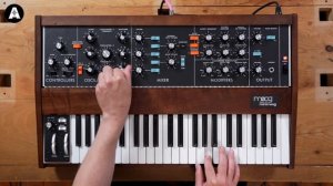 Moog Minimoog Model D 2022 Reissue! - Jack's Impressions!
